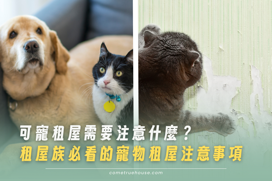 租屋族必看的寵物租屋注意事項